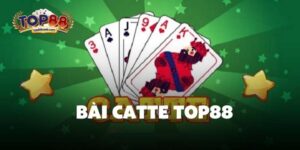 Bài catte top88