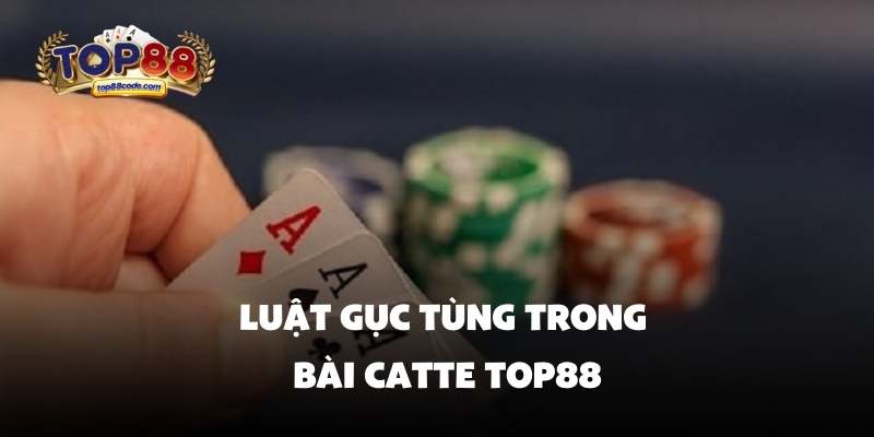 Luật gục tùng trong bài catte top88 Luật gục tùng trong bài catte top88