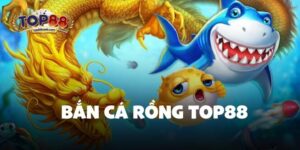Bắn Cá Rồng Top88