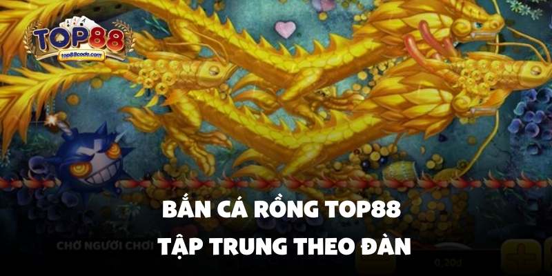 Bắn cá rồng Top88 tập trung theo đàn Bắn cá rồng Top88 tập trung theo đàn
