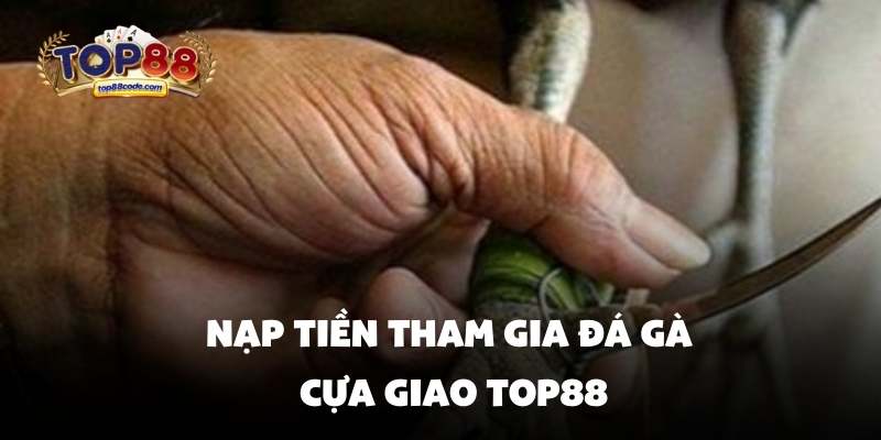 Nạp tiền tham gia đá gà cựa giao Top88 Nạp tiền tham gia đá gà cựa giao Top88