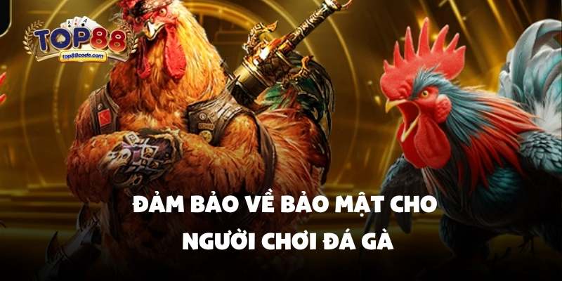 Đảm bảo về bảo mật cho người chơi đá gà Đảm bảo về bảo mật cho người chơi đá gà