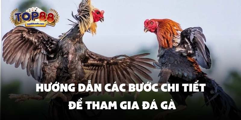 các bước chi tiết để tham gia Đá gà Top88 Hướng dẫn các bước chi tiết để tham gia đá gà