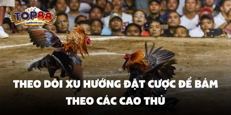 xu hướng đặt cược Đá gà Top88 Theo dõi xu hướng đặt cược để bám theo các cao thủ