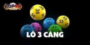 Lô 3 Càng