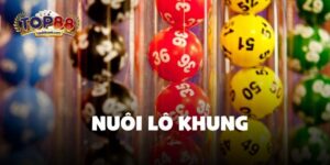 Nuôi Lô Khung