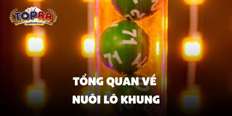 Tổng quan về nuôi lô khung Tổng quan về nuôi lô khung