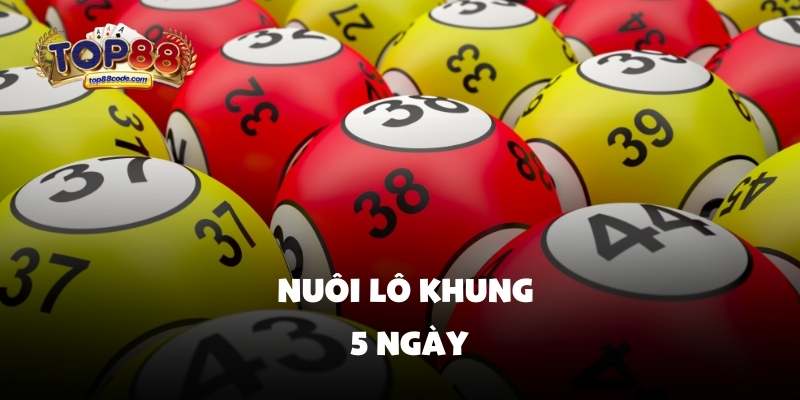 Nuôi lô khung 5 ngày Nuôi lô khung 5 ngày