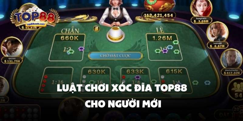 Luật chơi xóc đĩa Top88 cho người mới Luật chơi xóc đĩa Top88 cho người mới